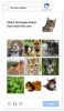 cat_captcha.0.png